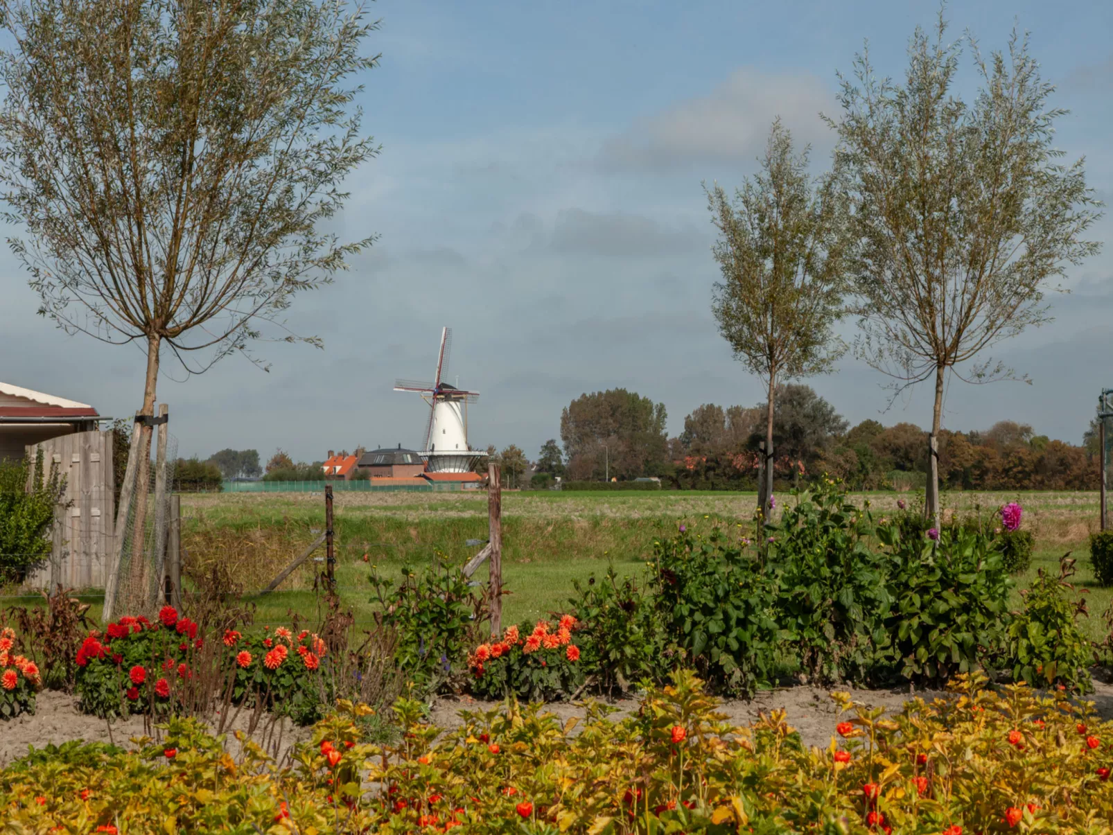 'T Bloemenhof Koudekerke-Buiten