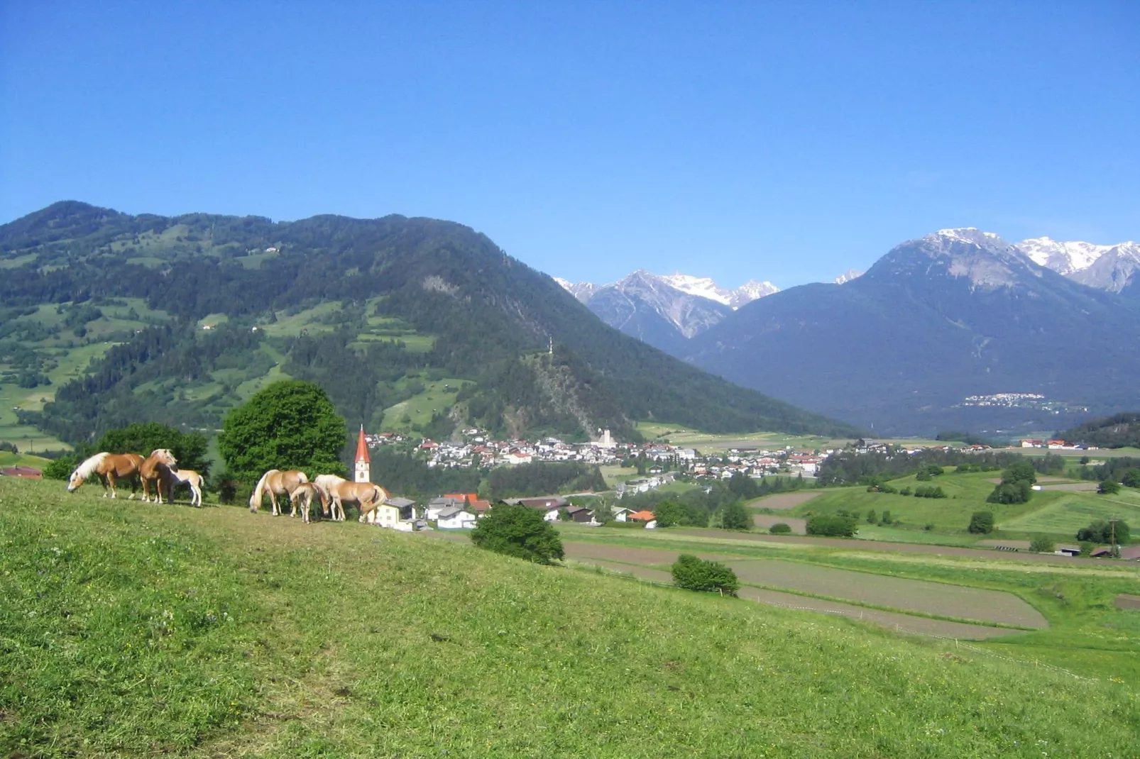 Lechner Edelweiss-Uitzicht zomer