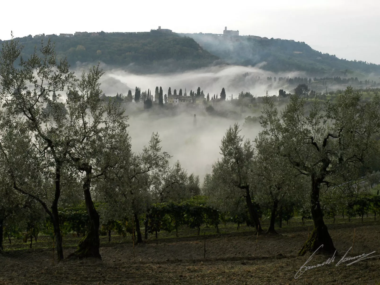 Podere Cafaggiolo-Omgeving