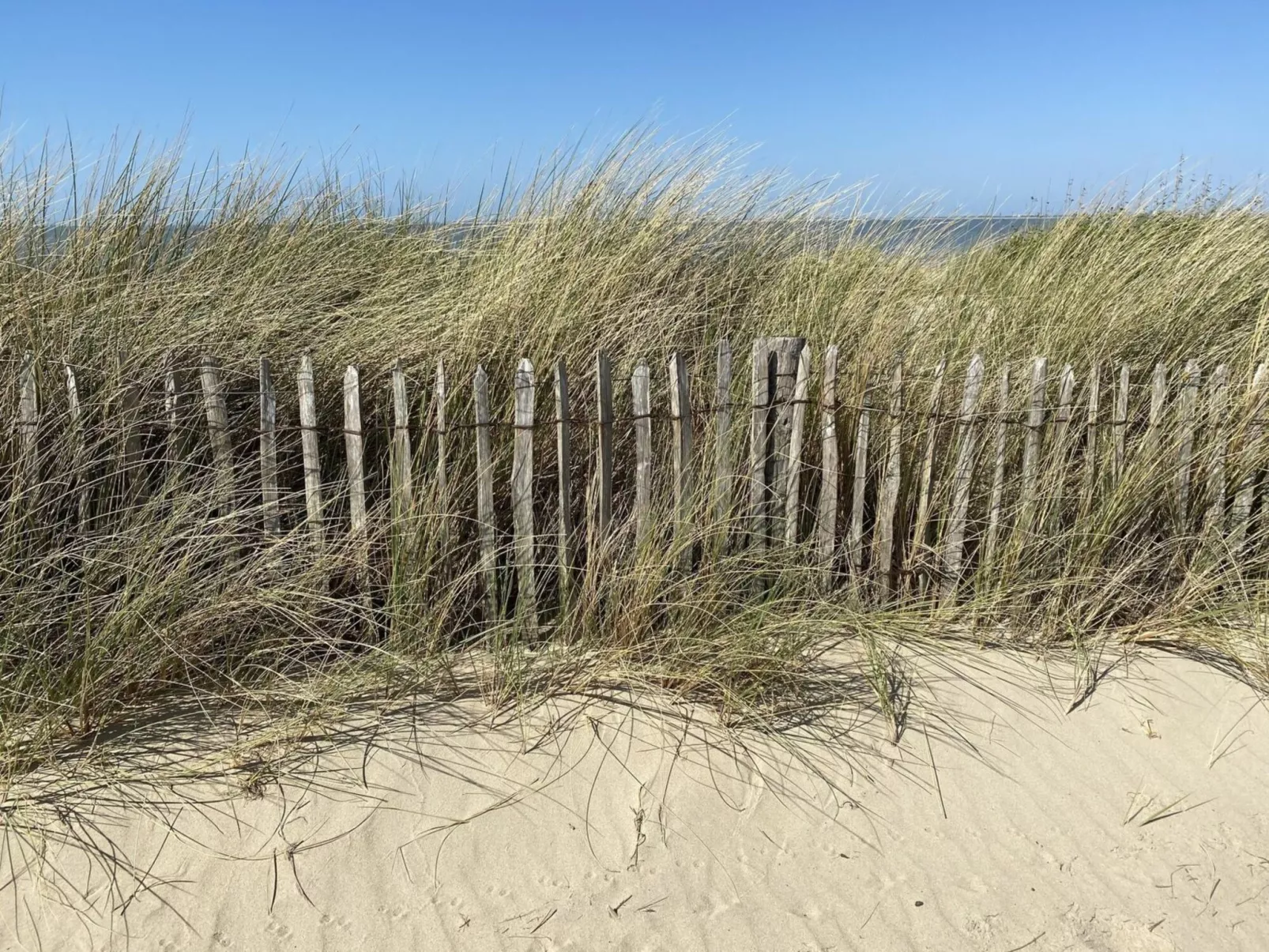 Seascape Wellness Nieuwvliet-Bad-Buiten