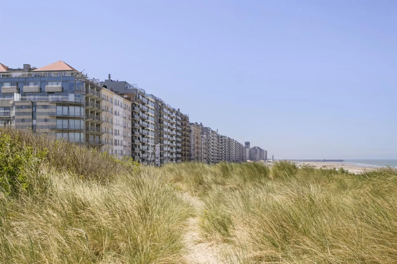 SEA SWALLOW - 1ST-Gebieden zomer 1km