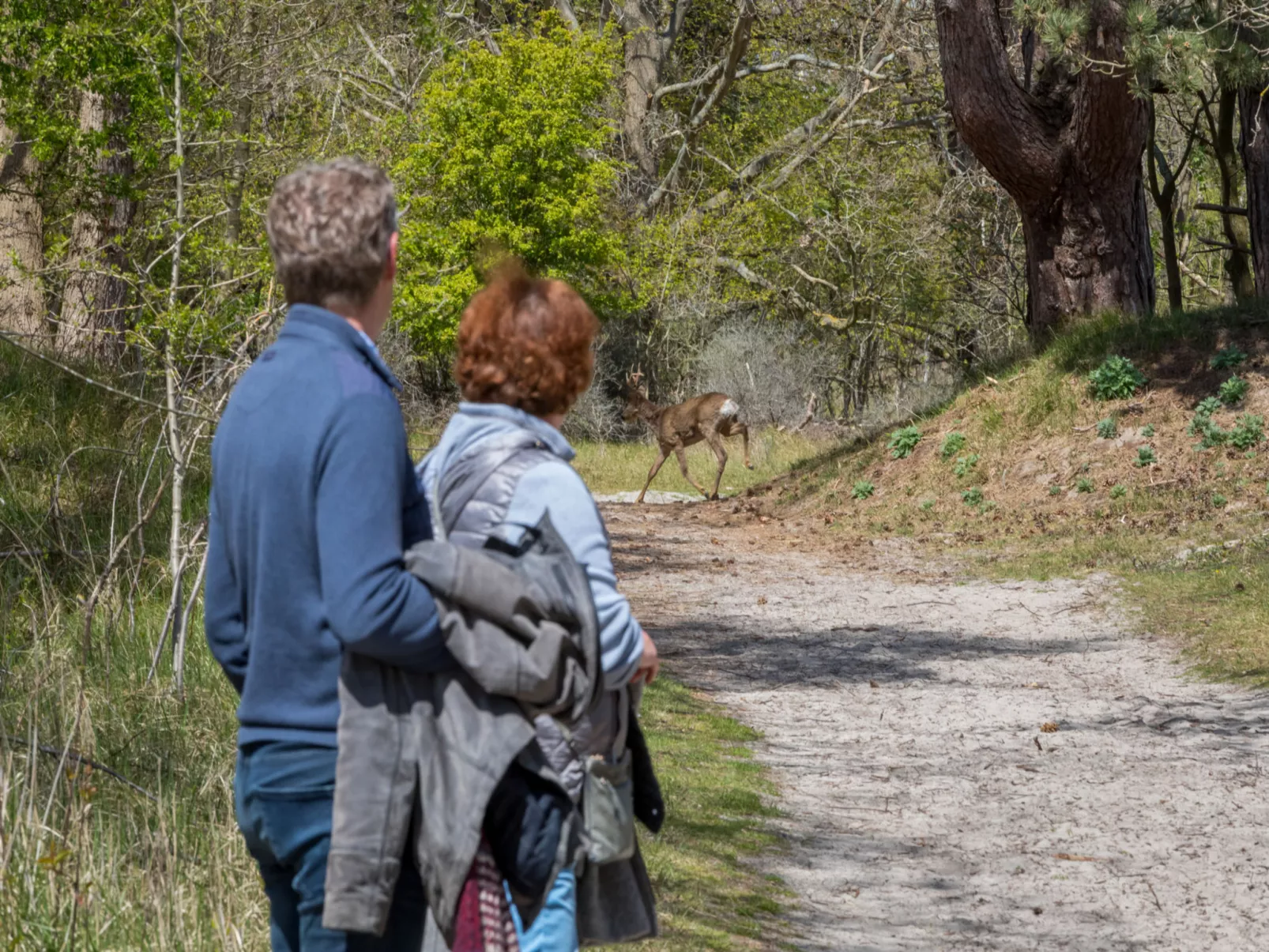 Buitenplaats Schouwen nr 86-Buiten