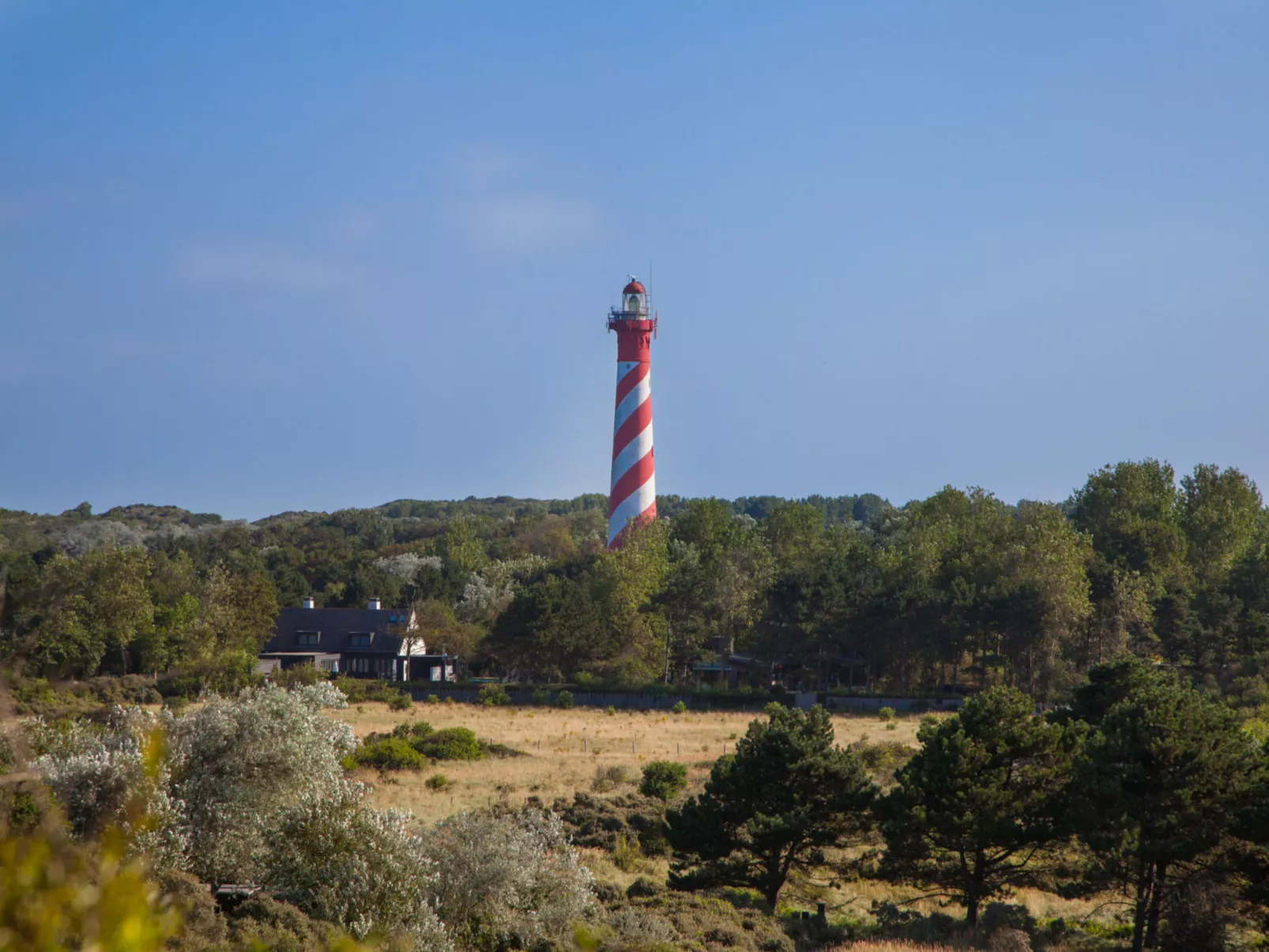 Buitenplaats Schouwen nr 86-Buiten