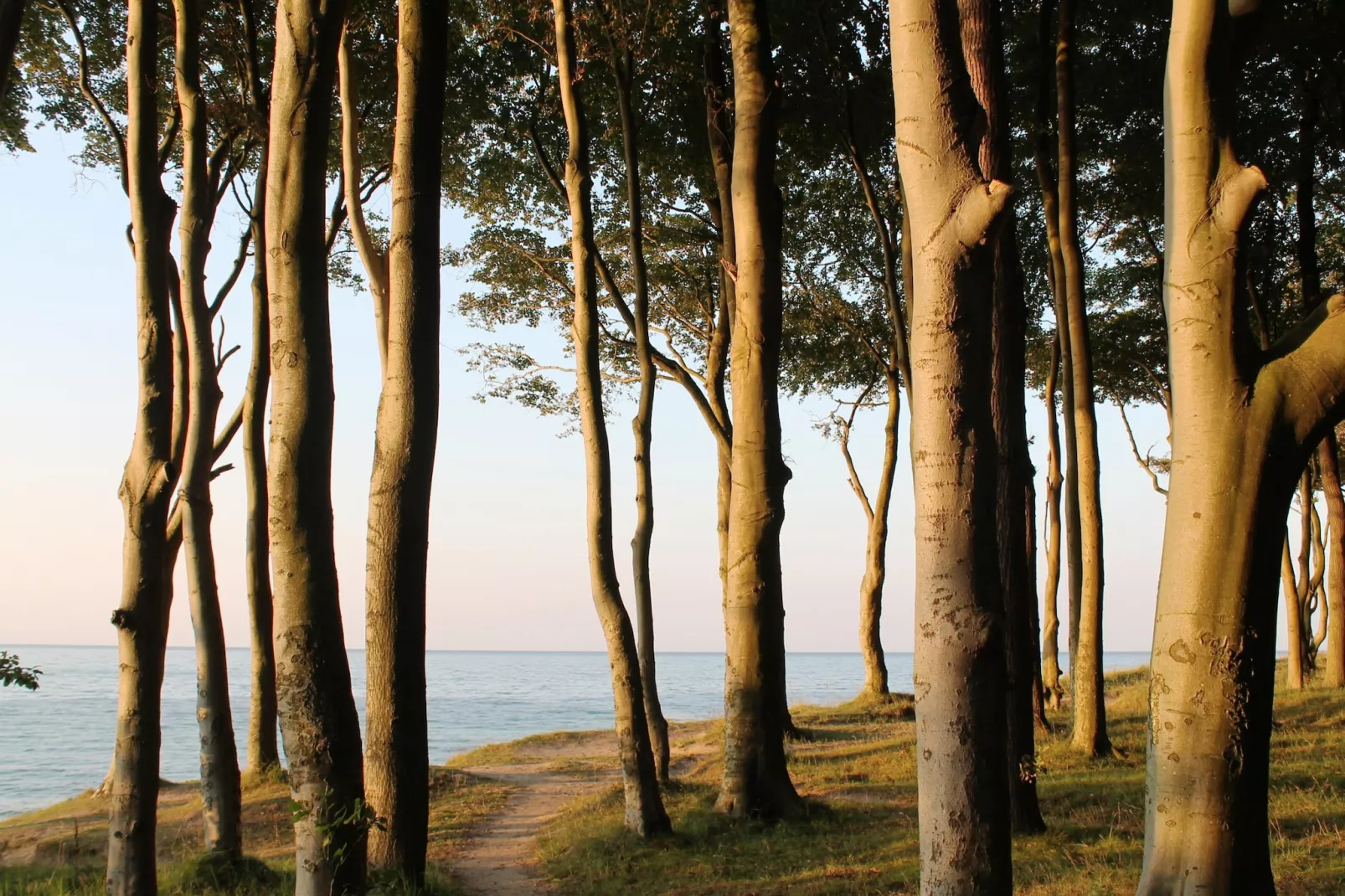 Ferienwohnung Gerda strandnah-Gebieden zomer 20km