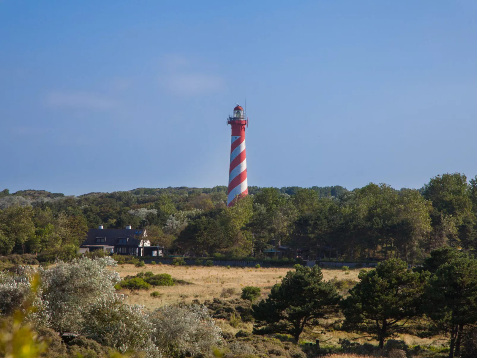 Duinzicht Renesse-Buiten