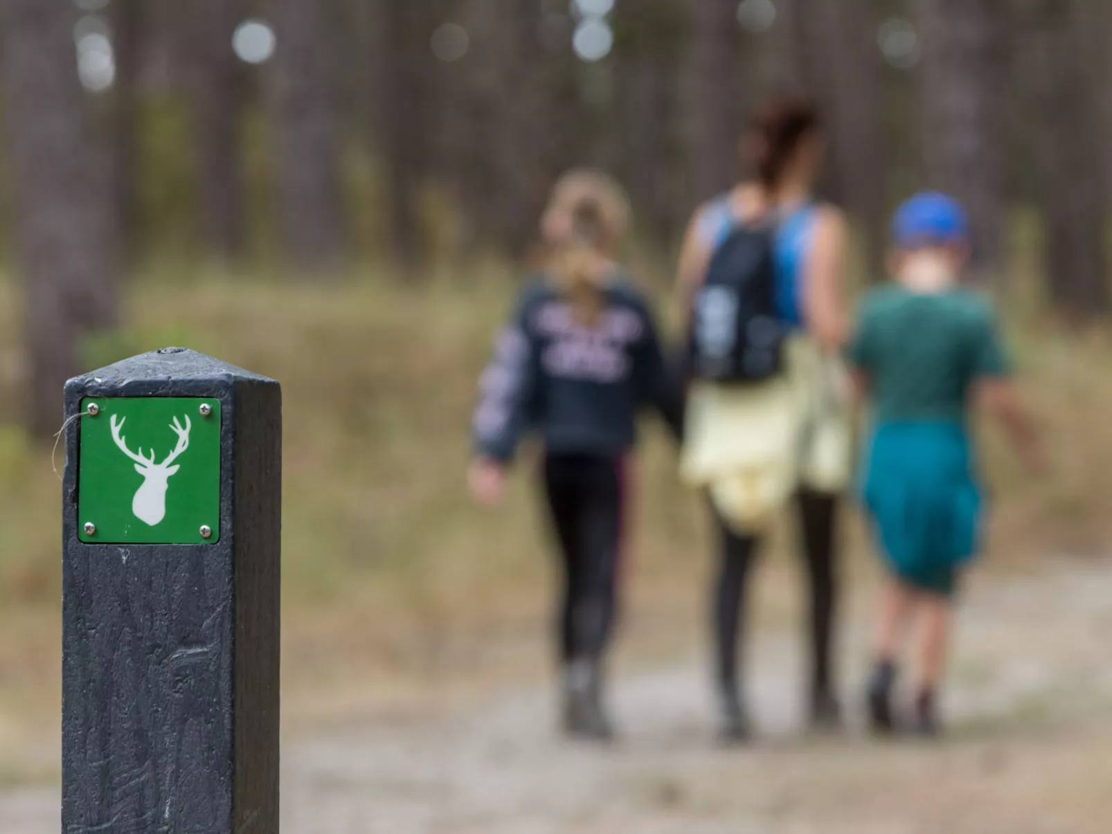 Duinzicht Renesse-Buiten