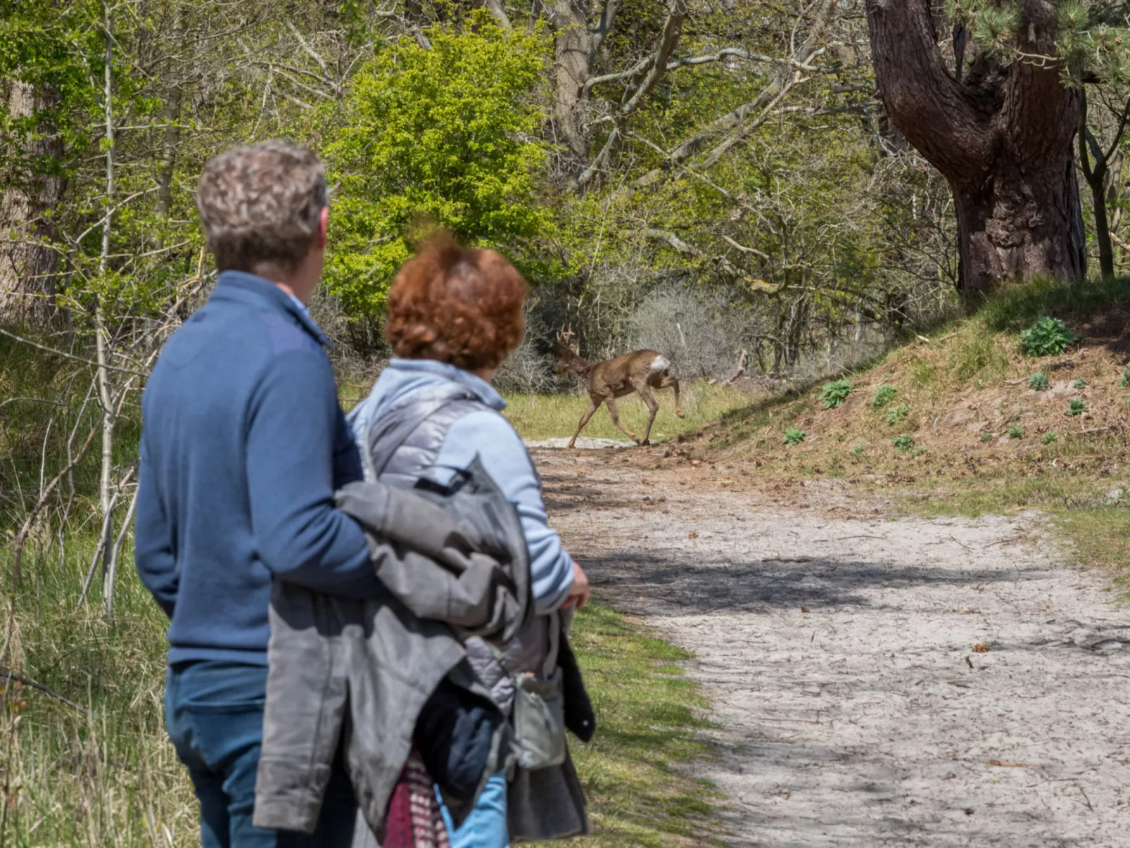 Duinzicht Renesse-Buiten