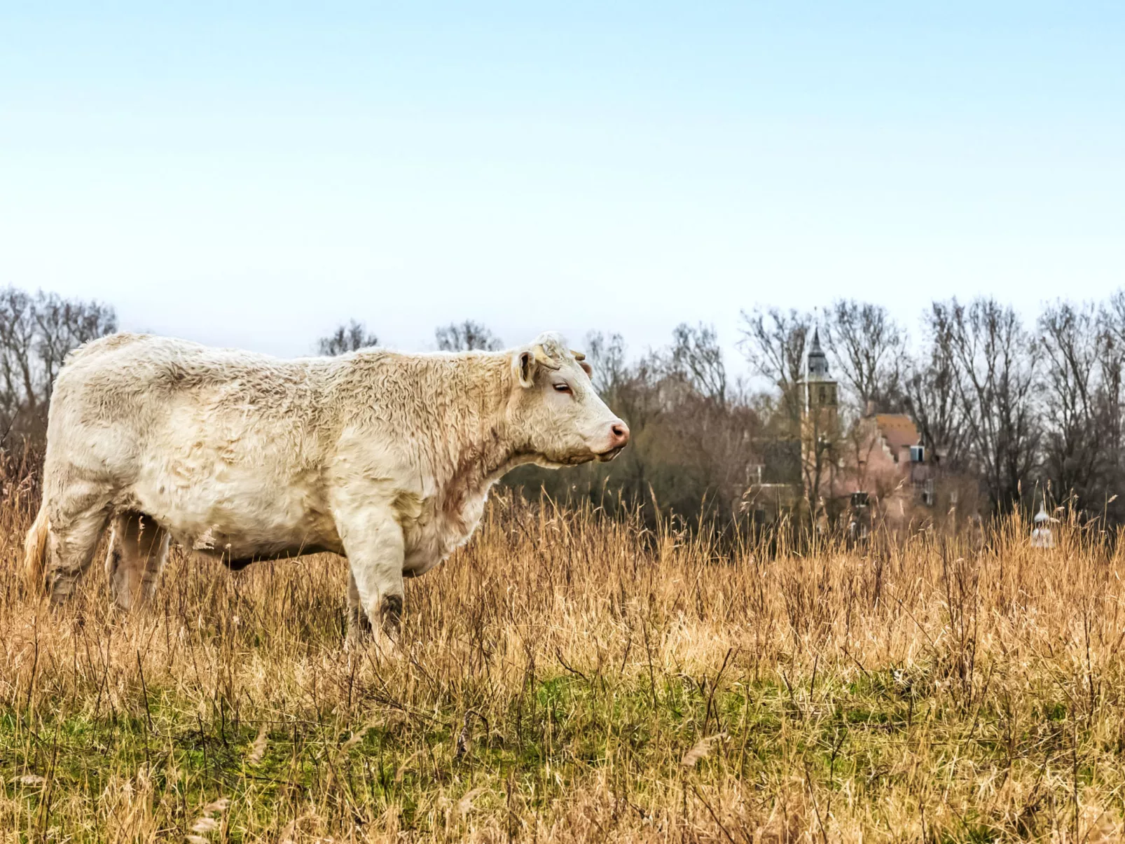 Duinzicht Renesse-Binnen