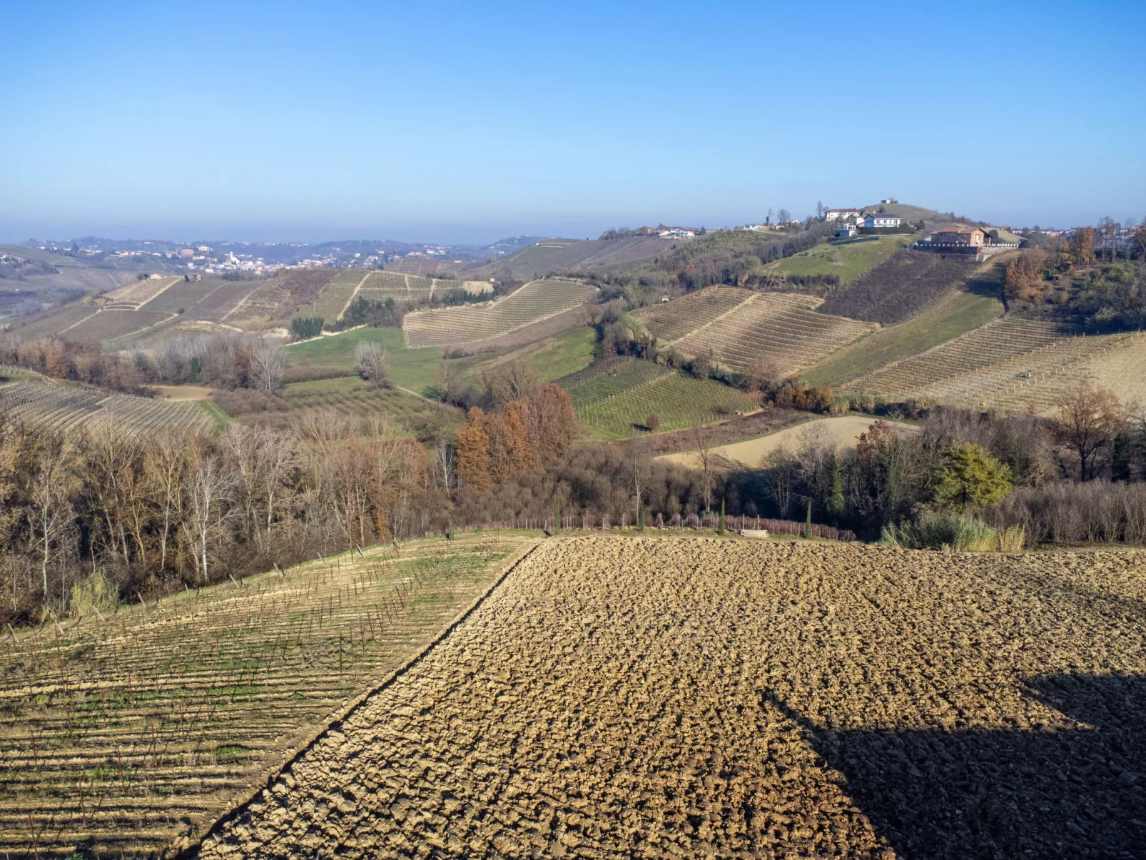 Tenuta Bricco San Giorgio-Buiten