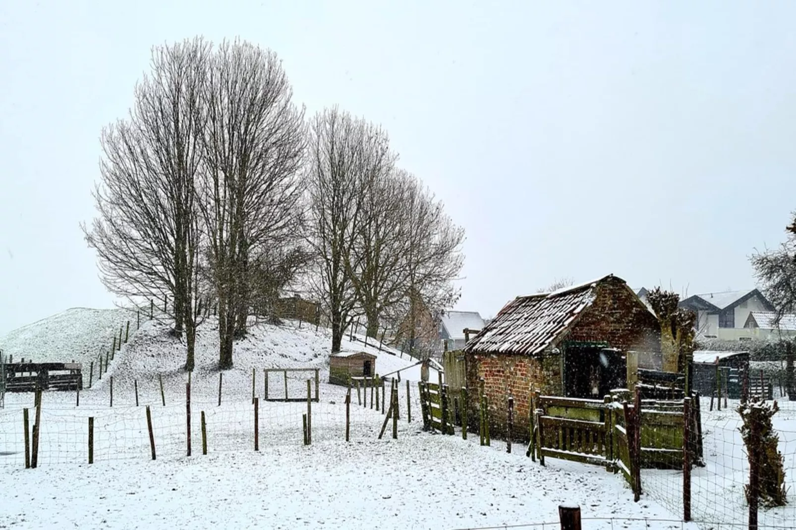 Zoutelandseweg 2 Biggekerke-Gebied winter 5km