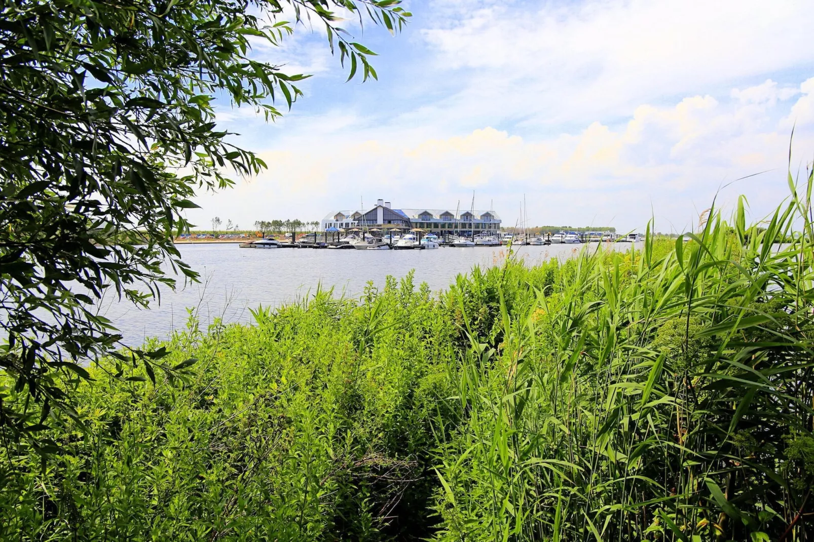 Resort Waterrijk Oesterdam 5-Tuinen zomer