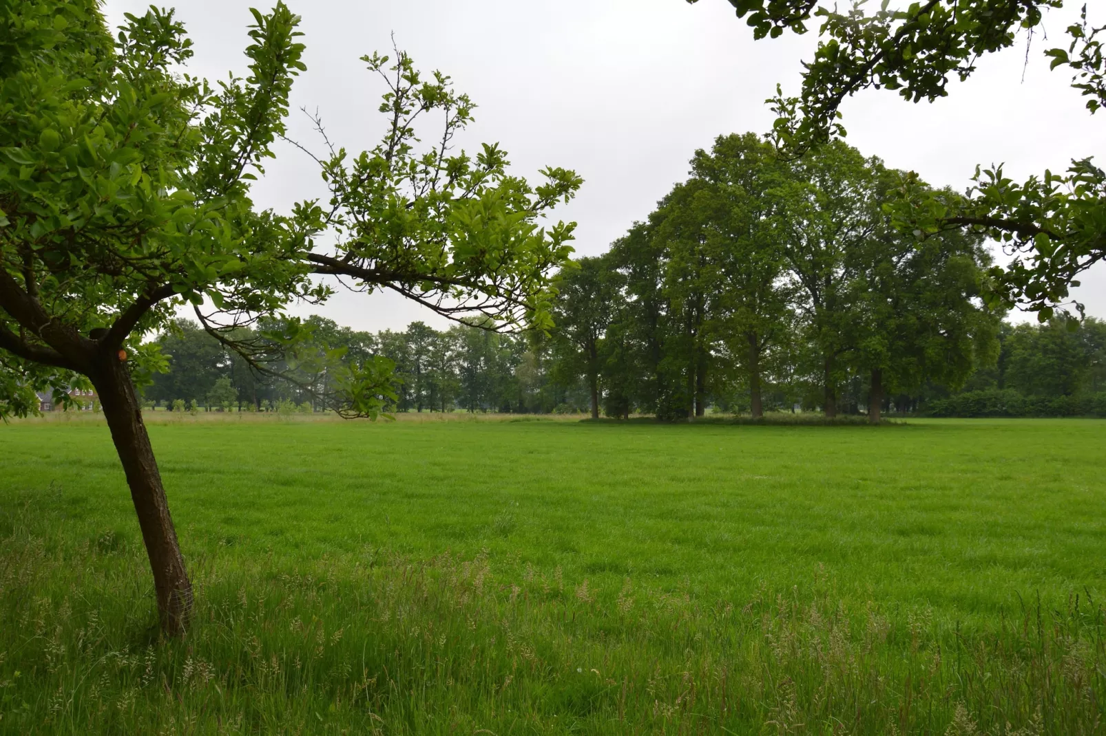 Huus in 't Hagt-Tuinen zomer