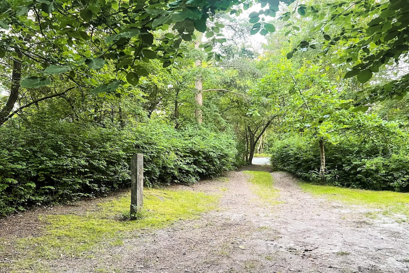 6 Personen vakantie huis in Nibe-Buitenlucht