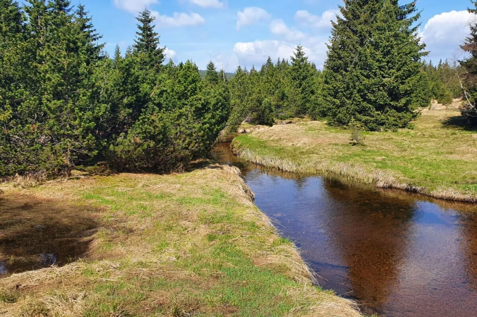 Villa-Gebieden zomer 1km