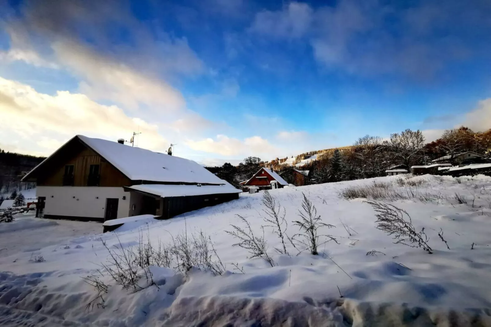 Villa-Tuin winter