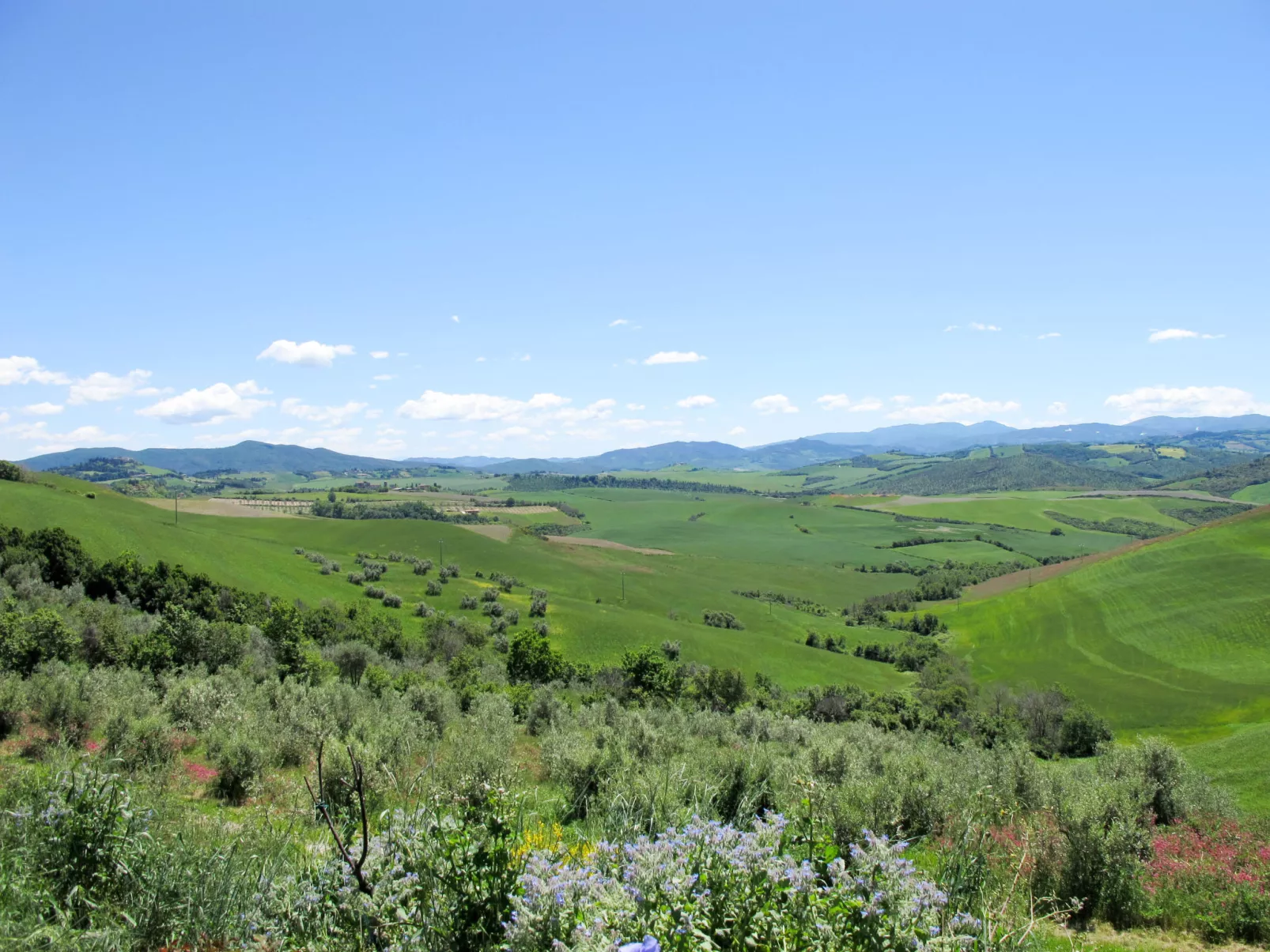 Podere Cafaggiolo-Omgeving