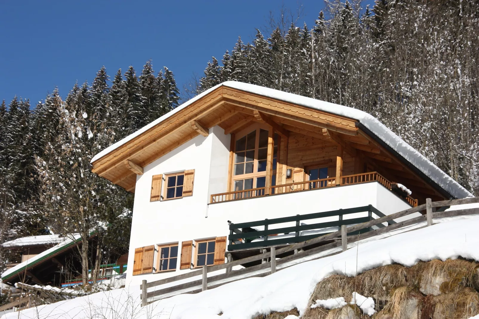 Chalets im Wald-Exterieur winter