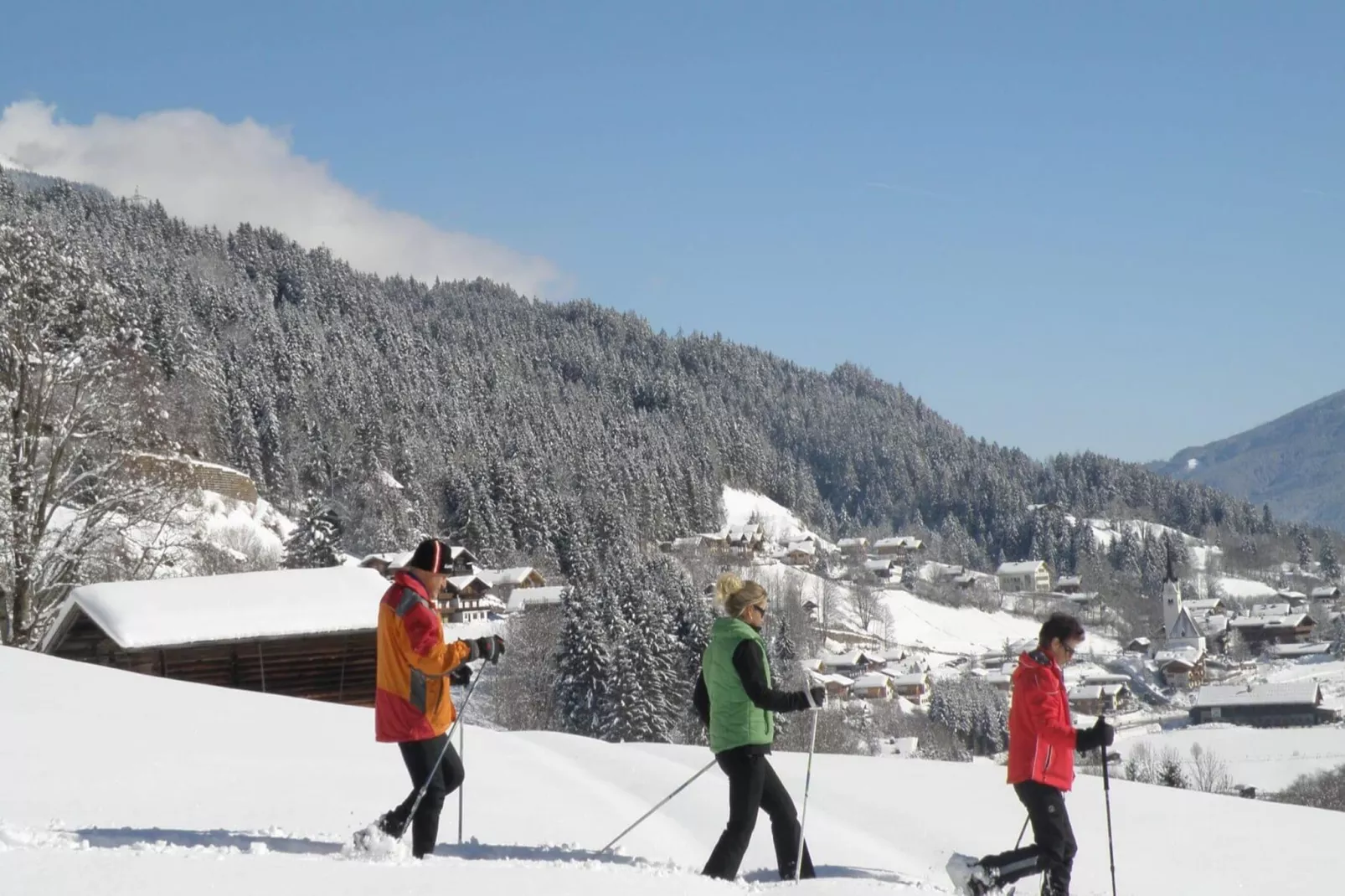 Chalets im Wald-Gebied winter 20km