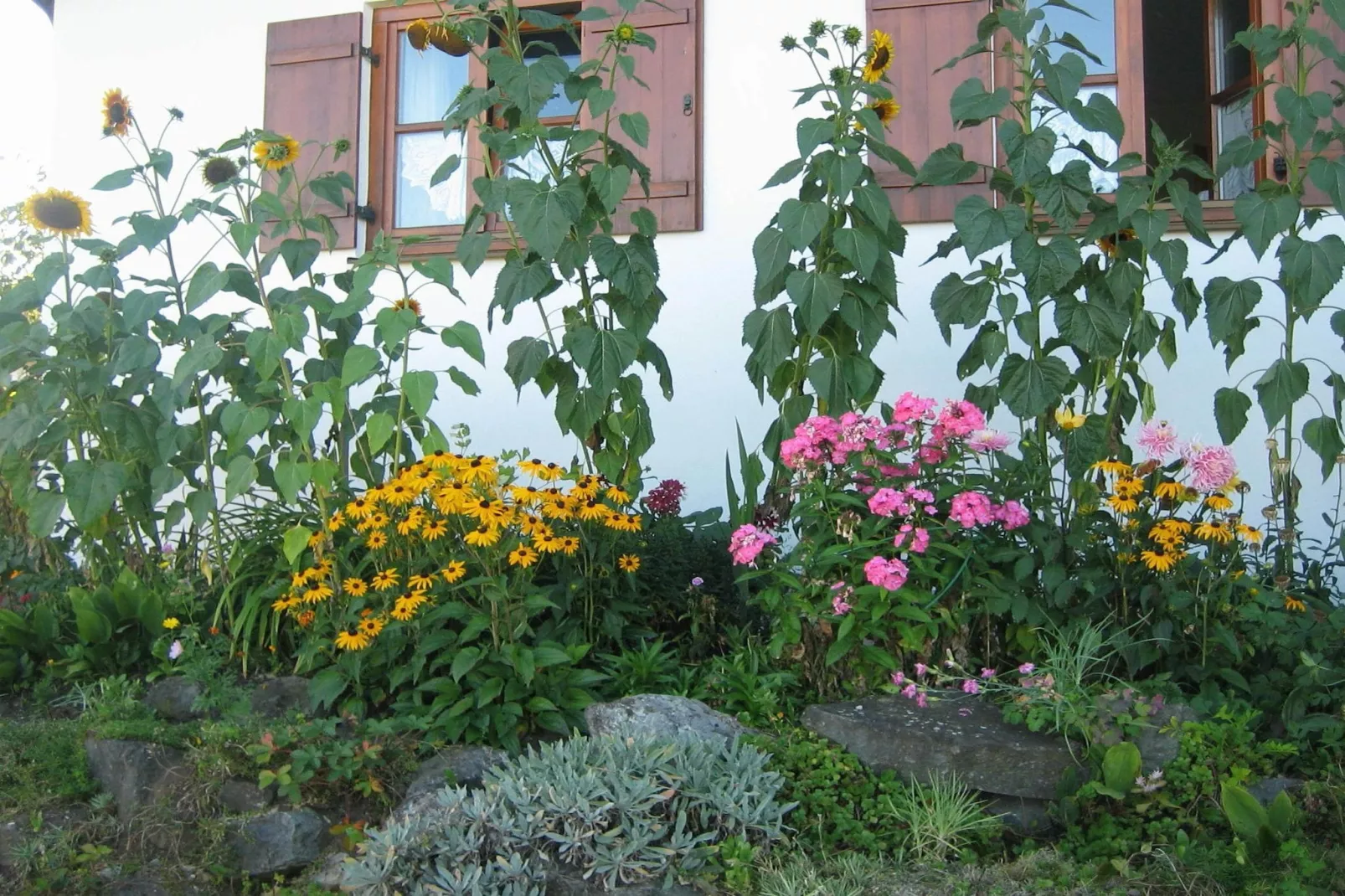 Im Pfaffenwinkel-Tuinen zomer