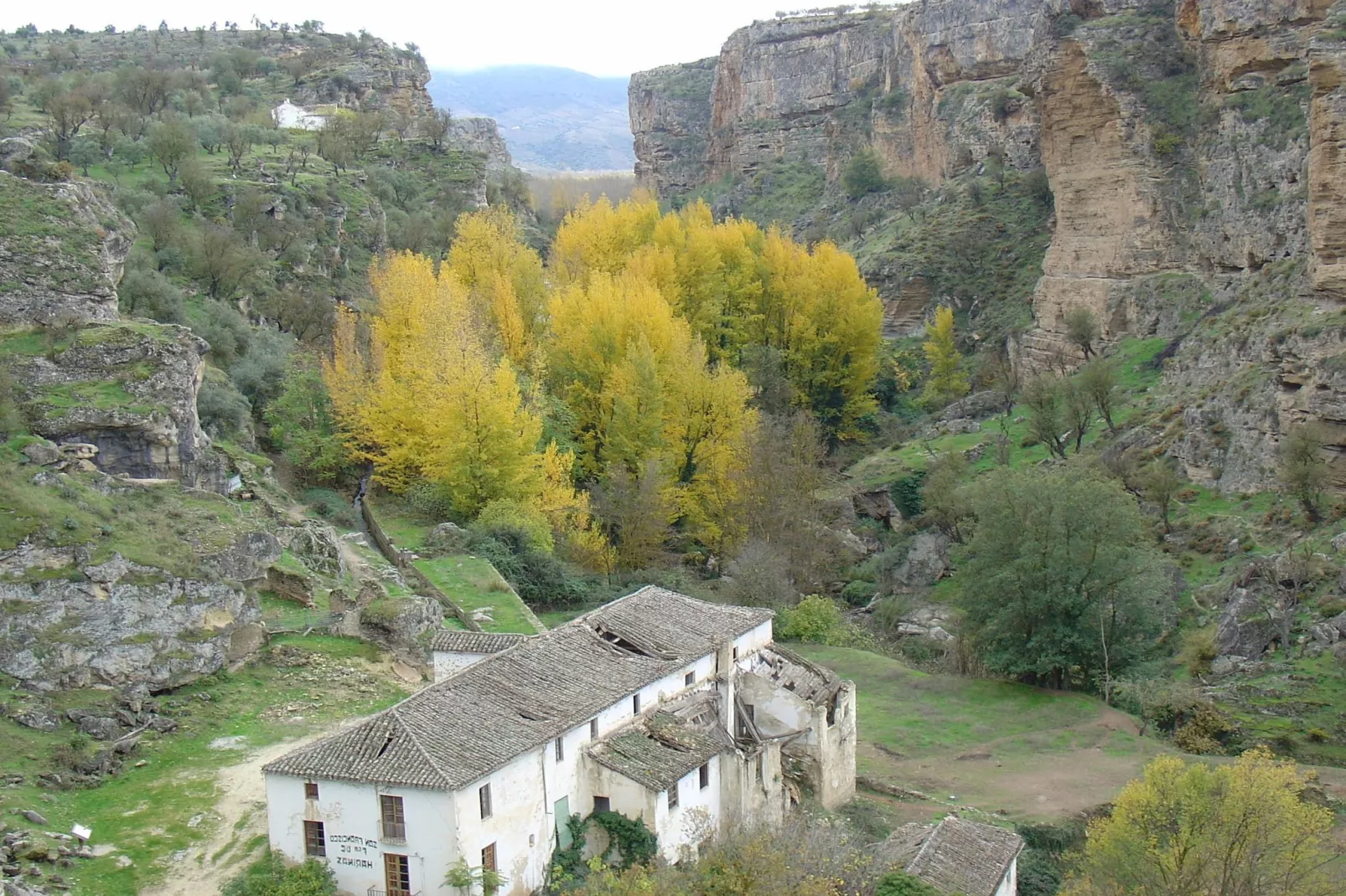 Cortijo Los Alazores-Buitenkant zomer