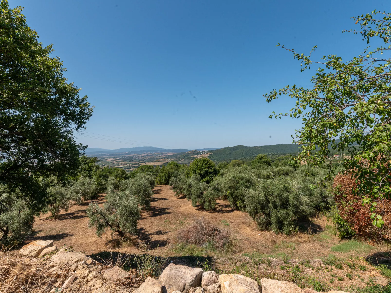 Oasi di benessere Bio-Buiten