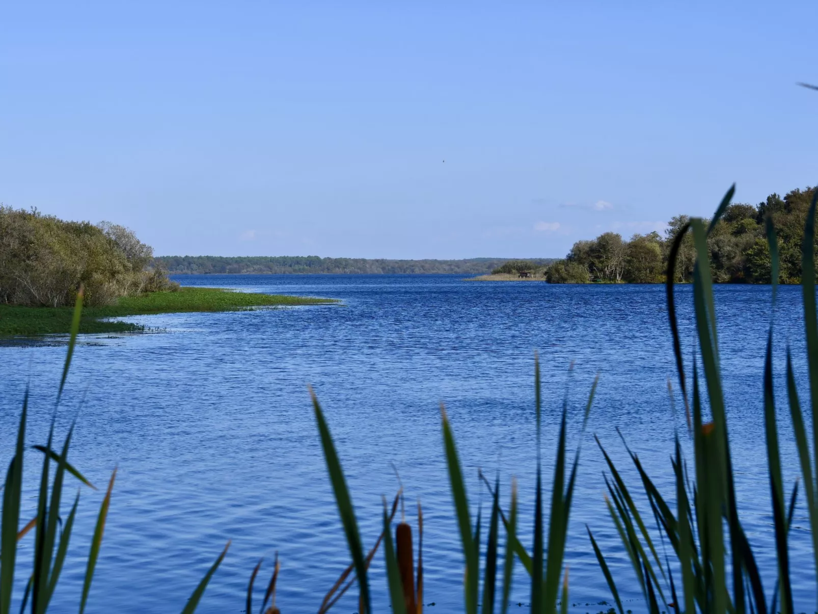 Campagne-Omgeving