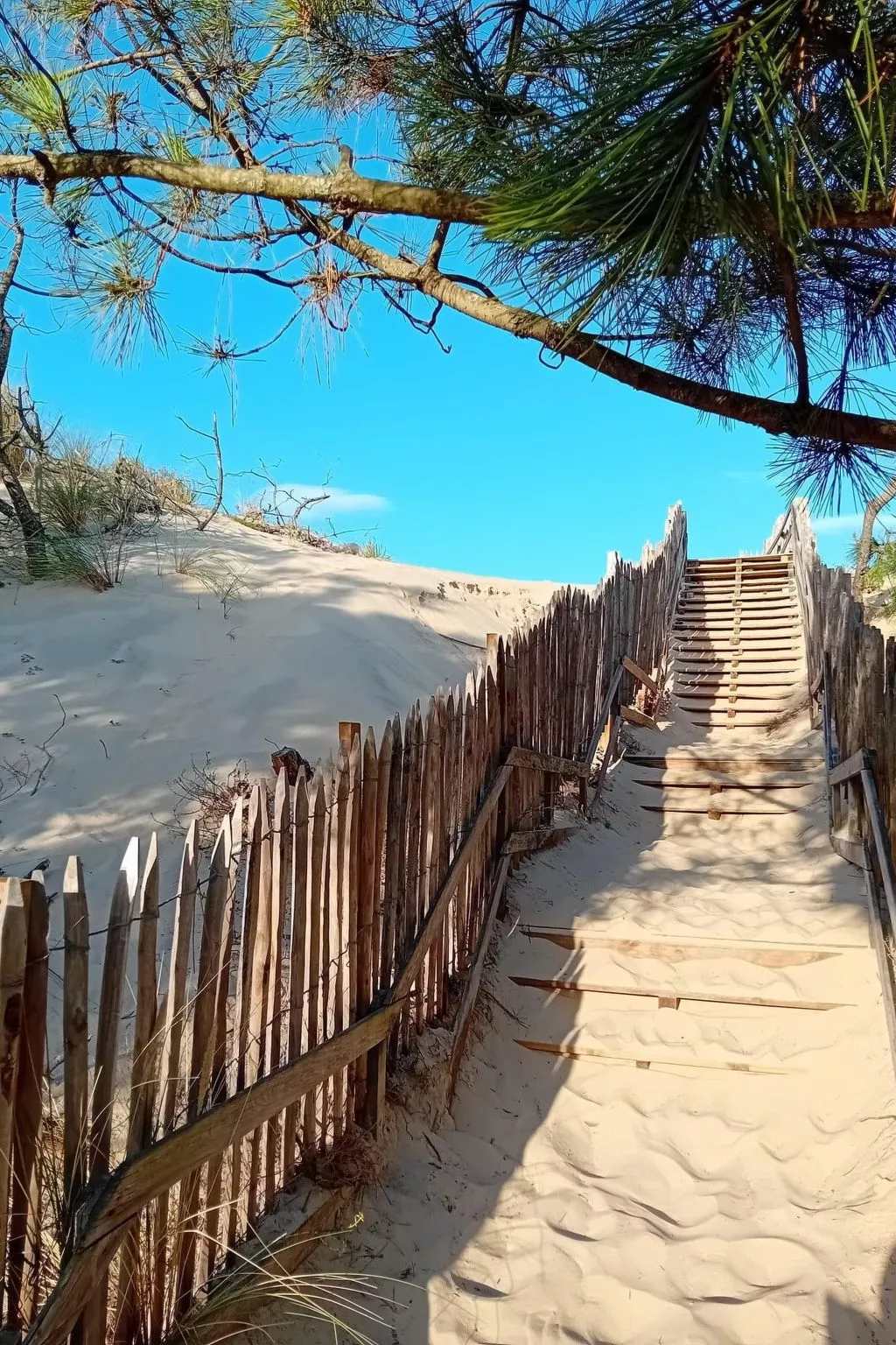 Promenade des Pins-Buiten