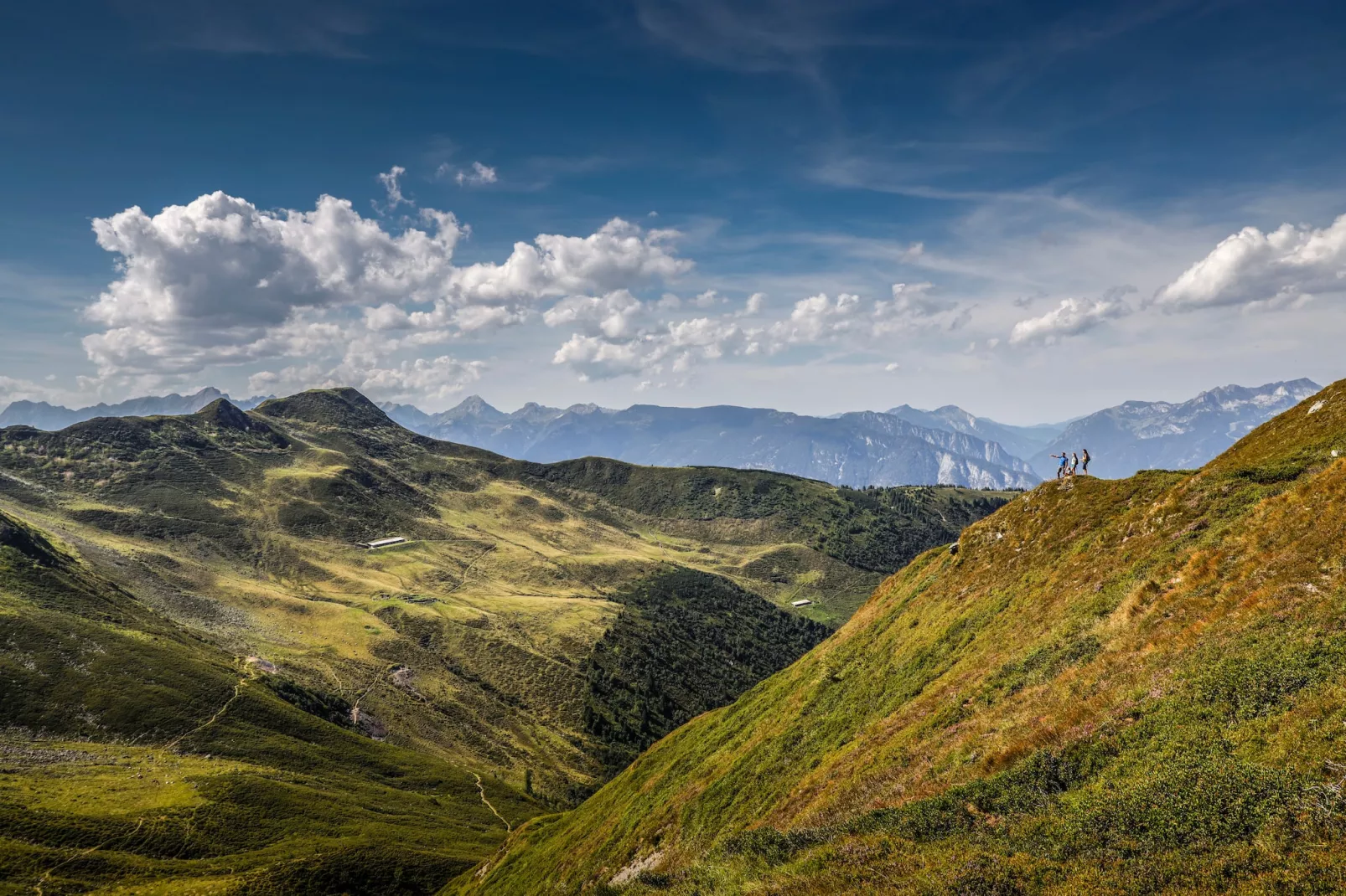 Zillertal Suites 5-Buitenlucht