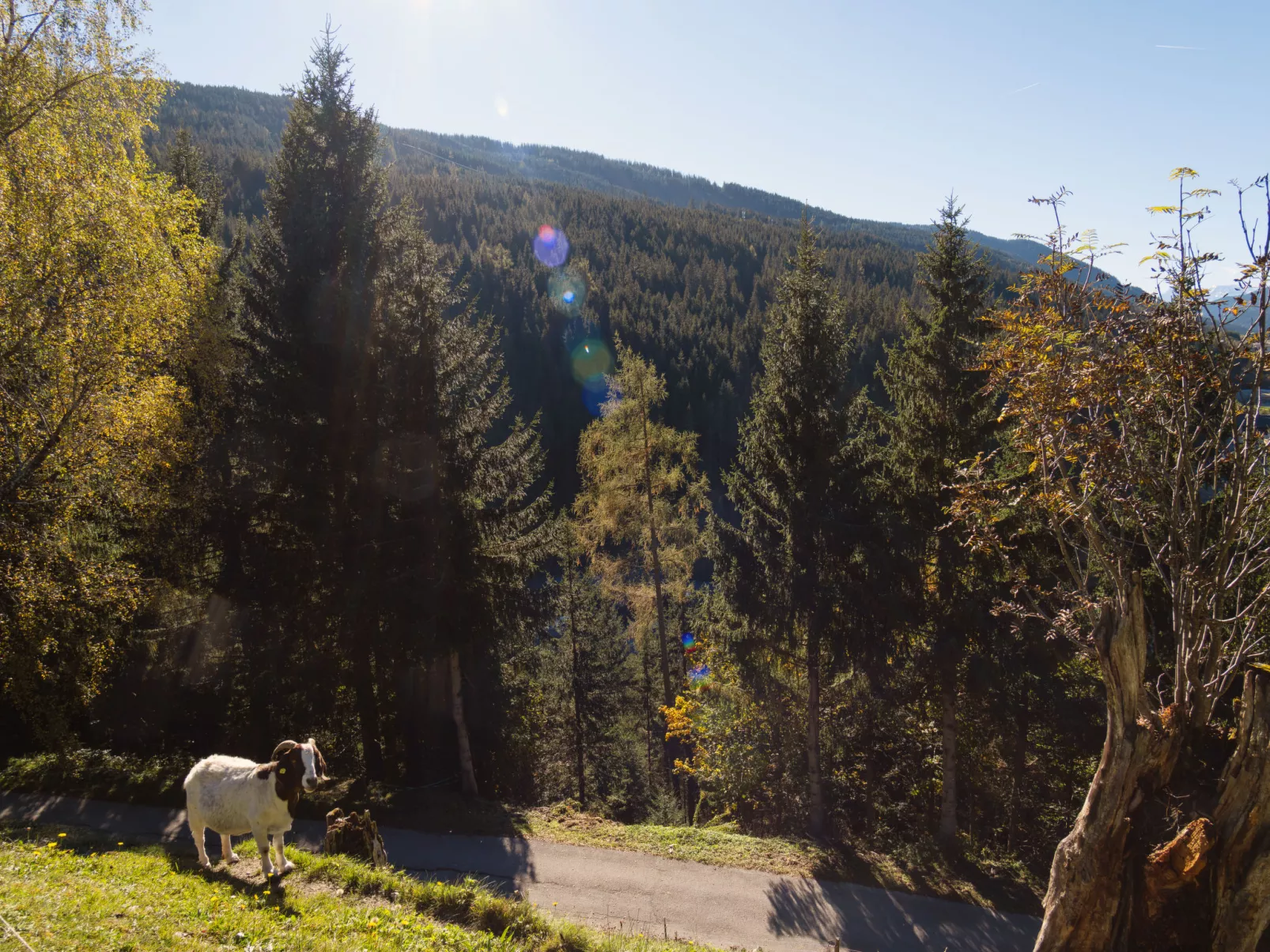 Dachstein-Buiten