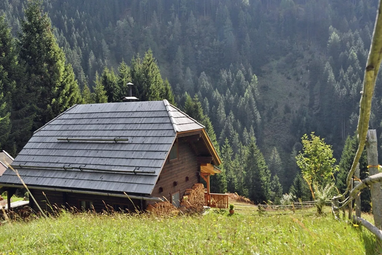 Almhütte im Walde-Image-tags.