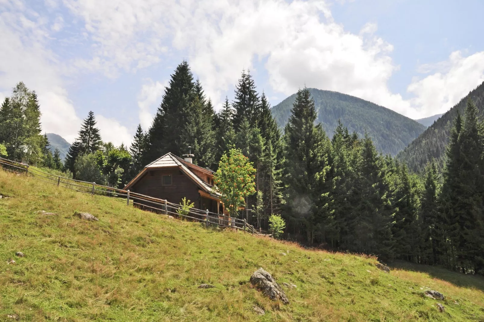 Almhütte im Walde-Image-tags.