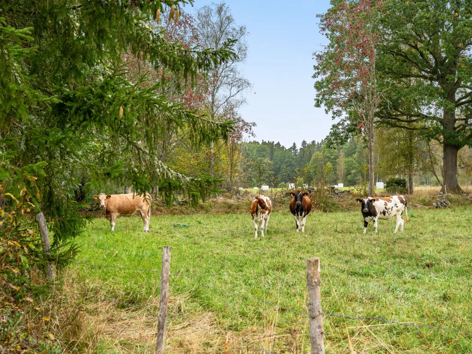 Källehult-Buiten