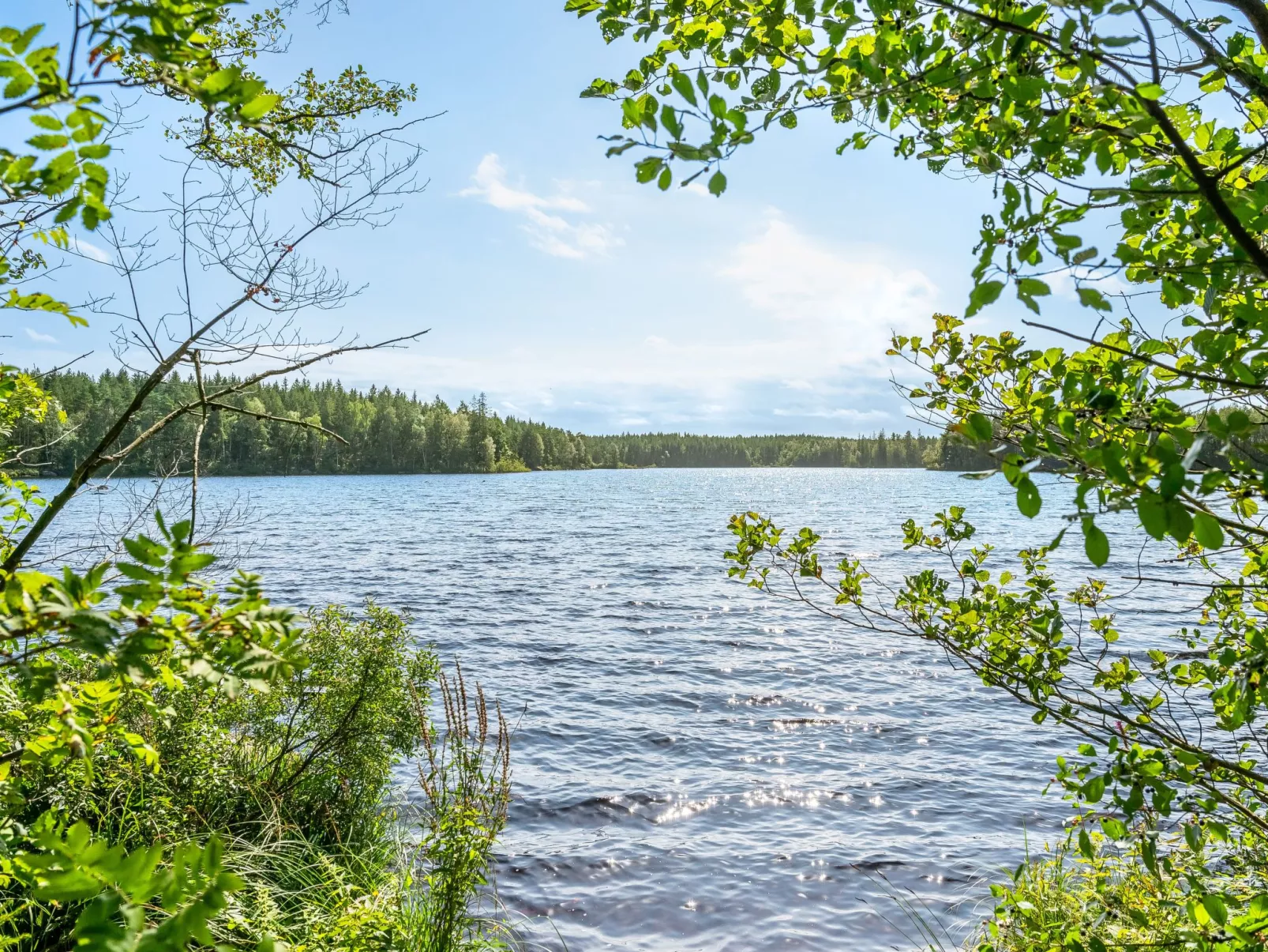 Stenfors-Buiten