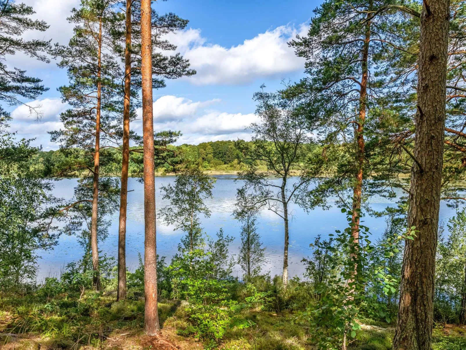 Gaslunda Tvåan-Buiten