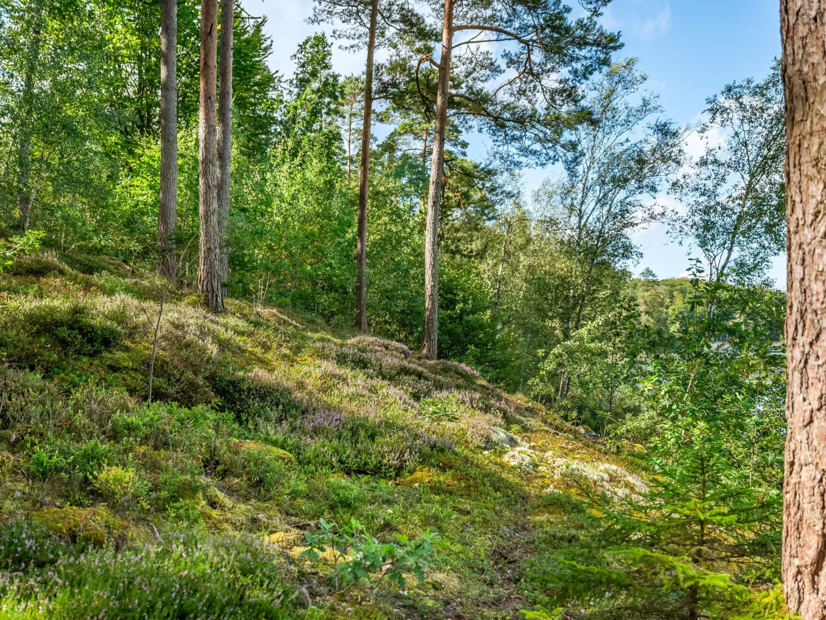 Gaslunda Tvåan-Buiten