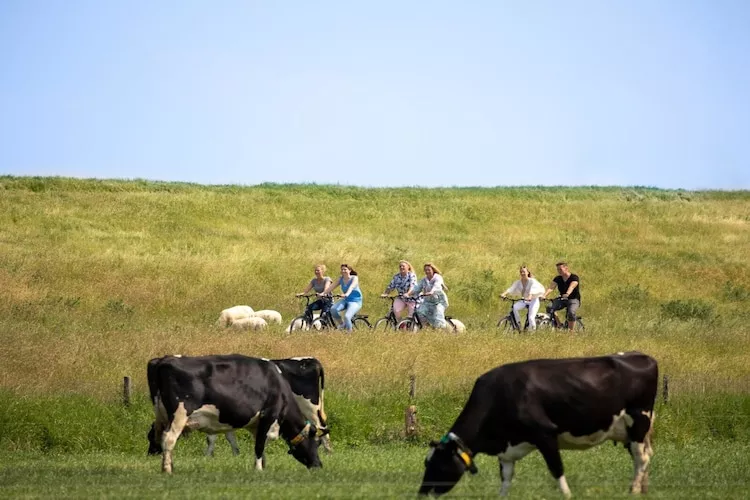 Fewo bis 7 Personen mit Alkoven / Belegung 1-4 Personen-Gebieden zomer 1km