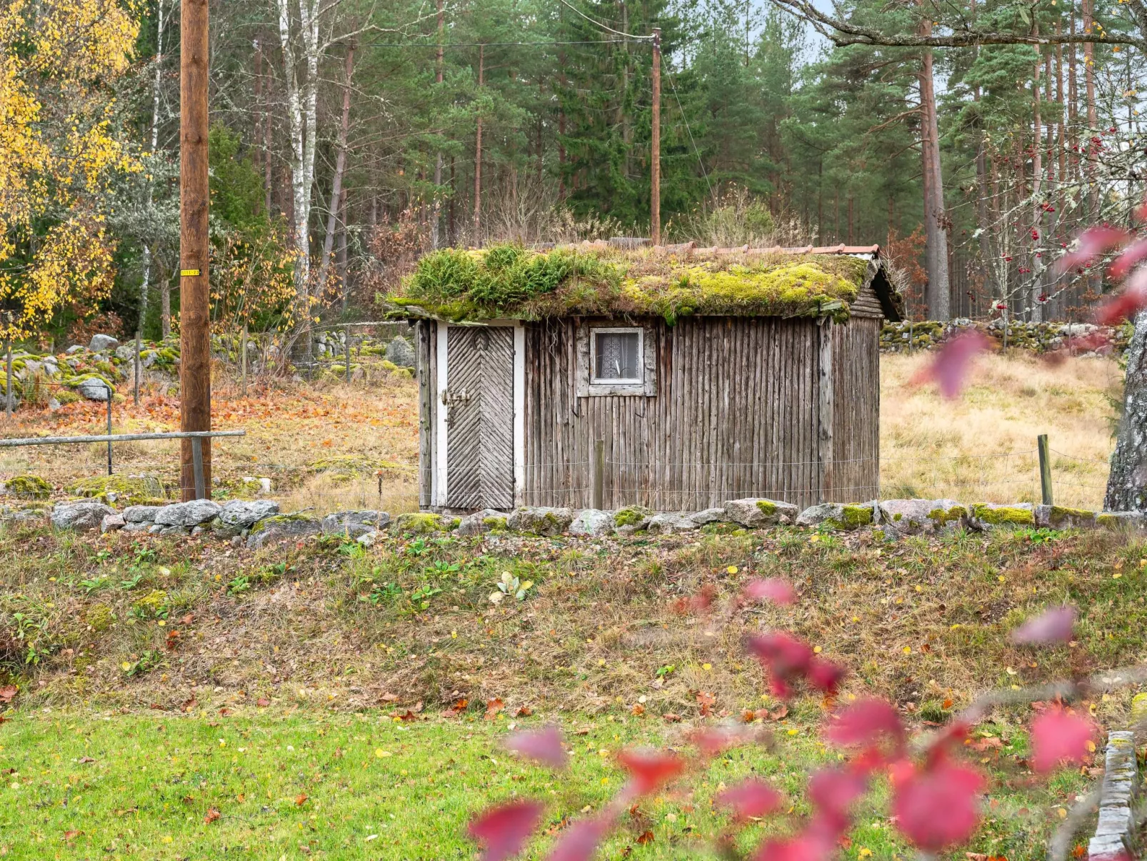 Mjuamåla-Buiten