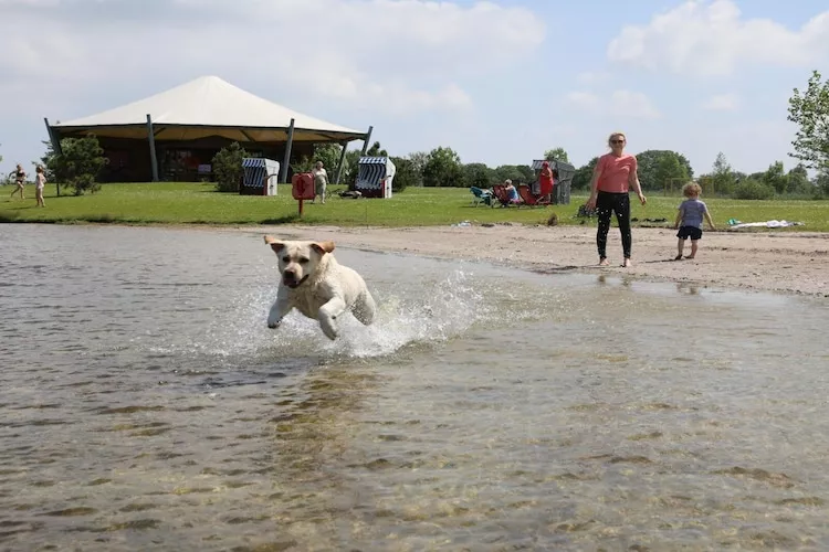 Fewo bis 6 Personen / Belegung 1-4 Personen-Waterzicht