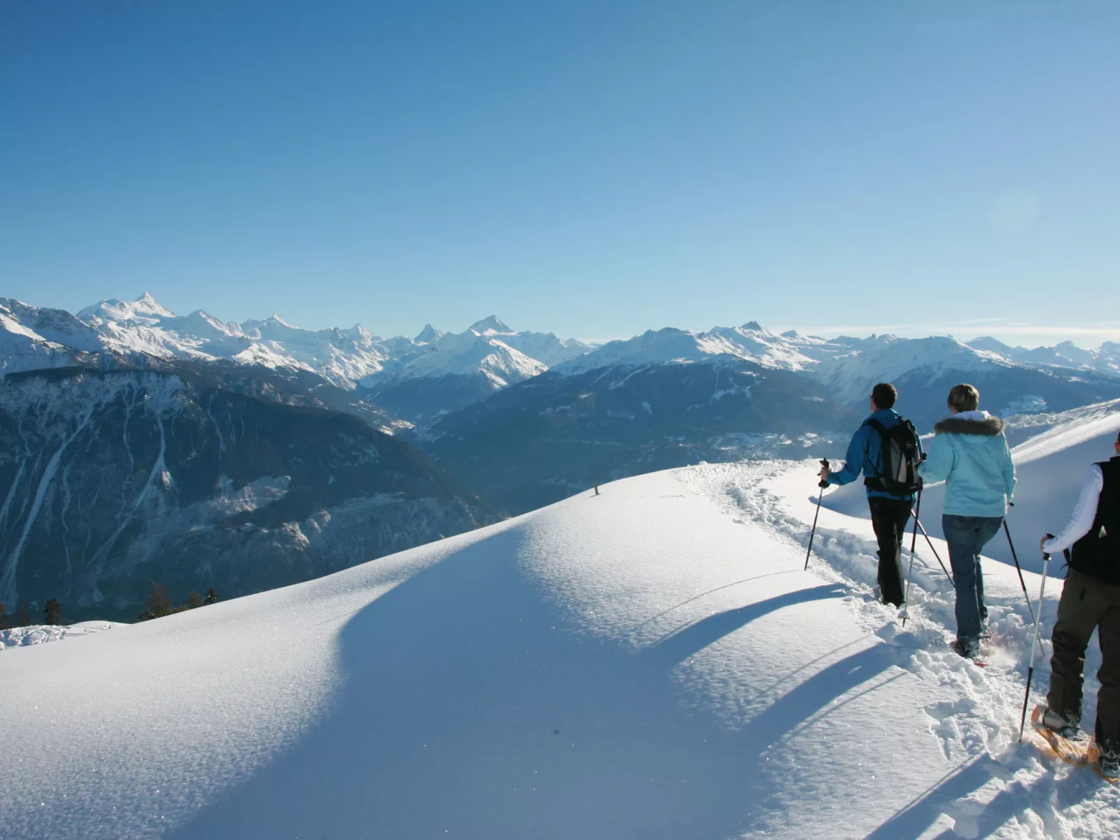 Terrasse des Alpes-Omgeving