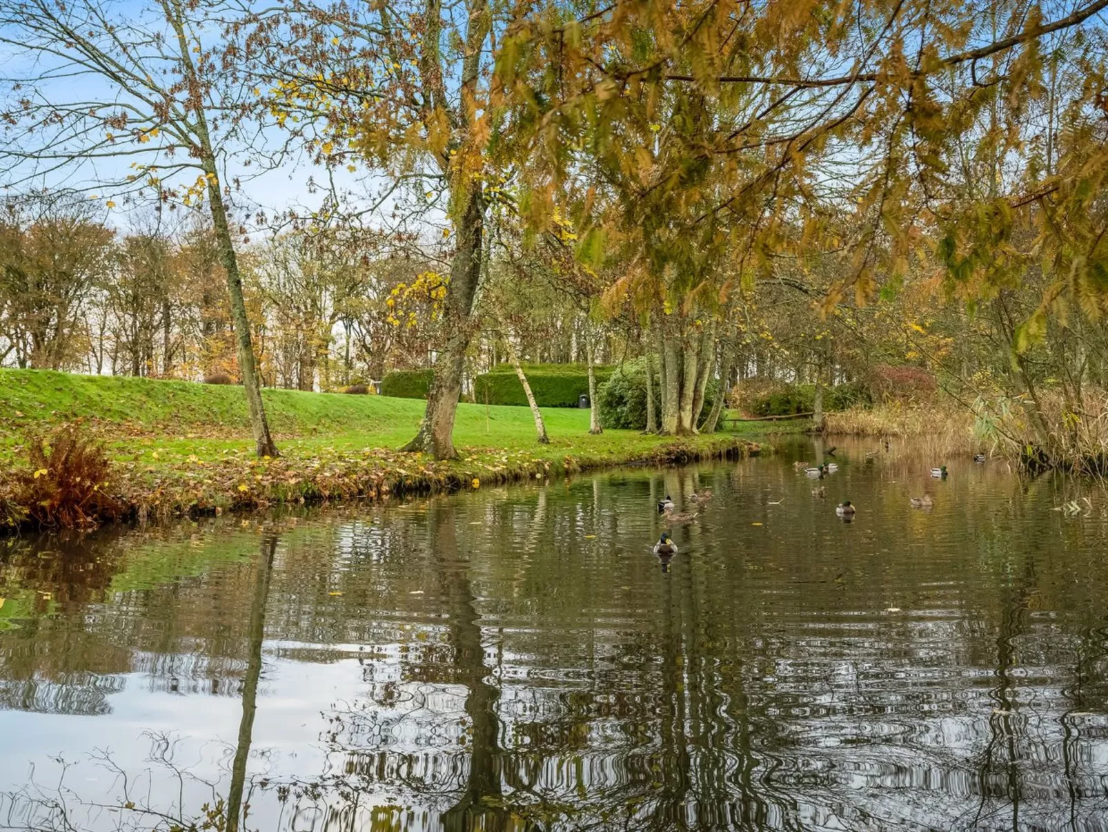 "Trpana" - 1km to the inlet-Buiten