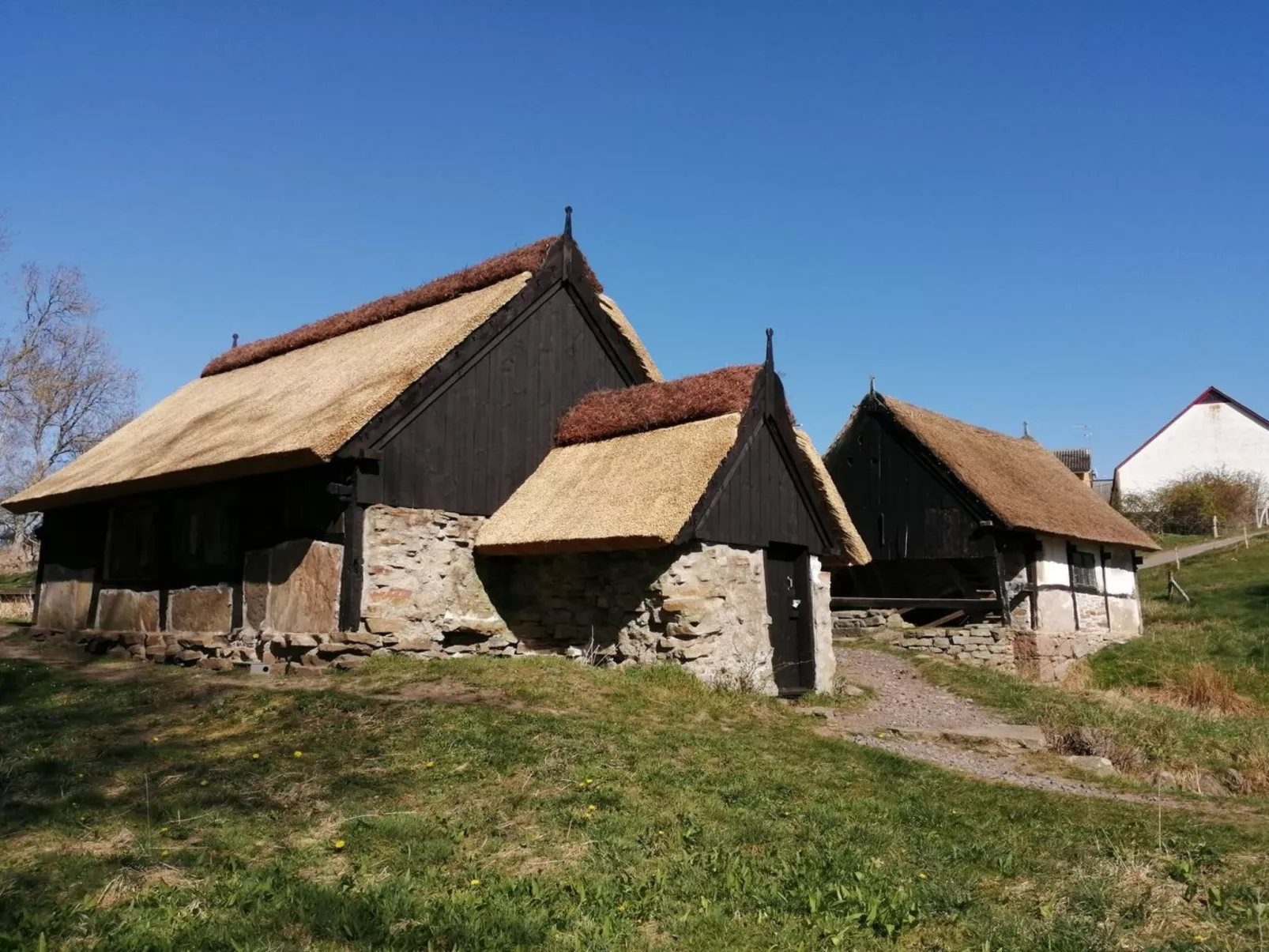 "Eirik" - 700m from the sea-Buiten