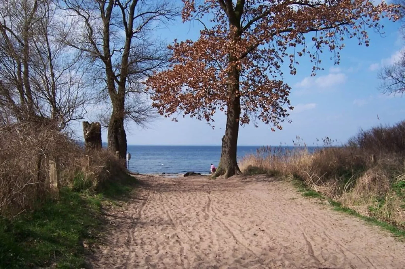 Ferienwohnung mit Terrasse im Klützer Winkel-Gebieden zomer 5km