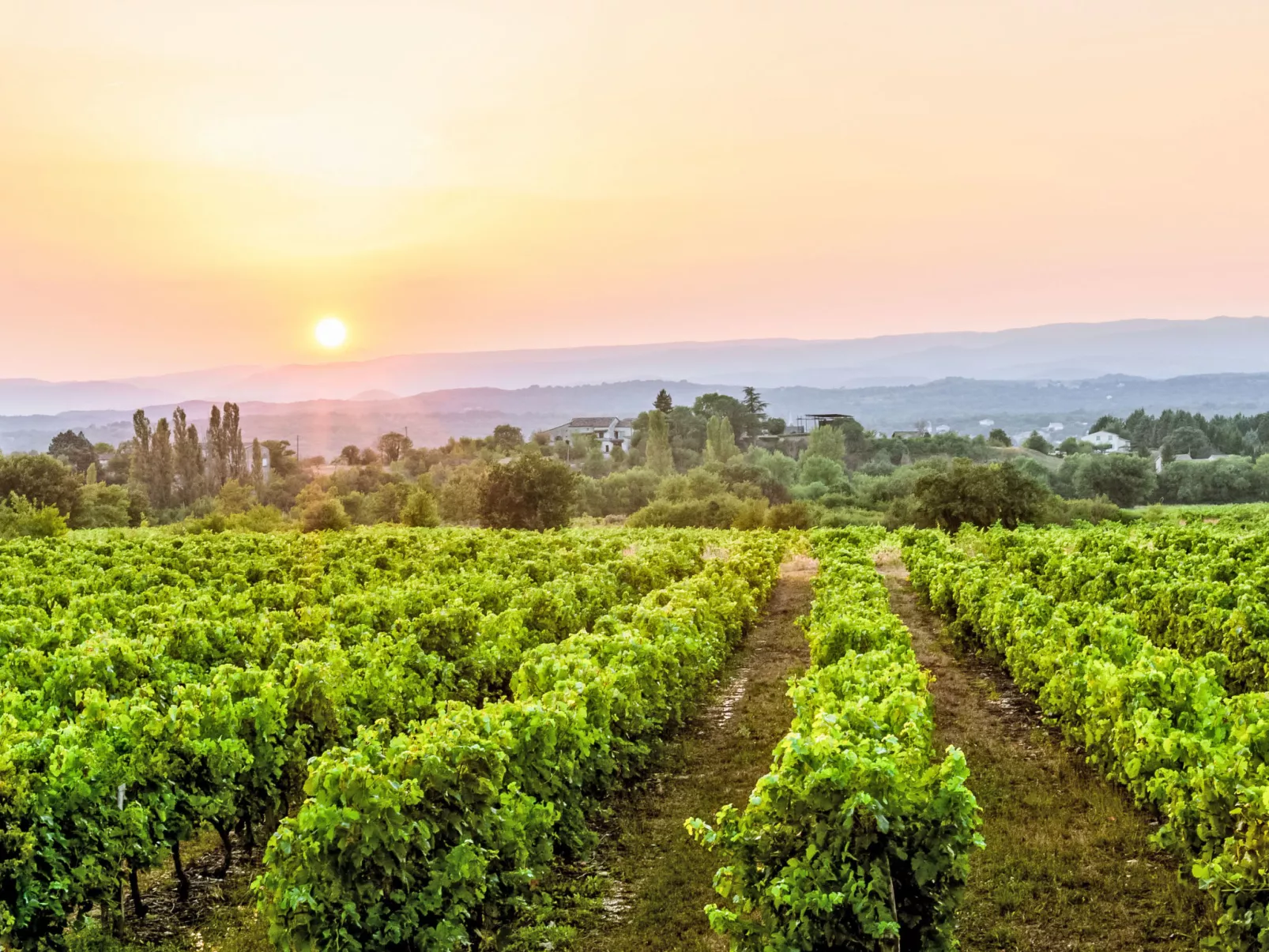 Domaine de Sévenier-Buiten