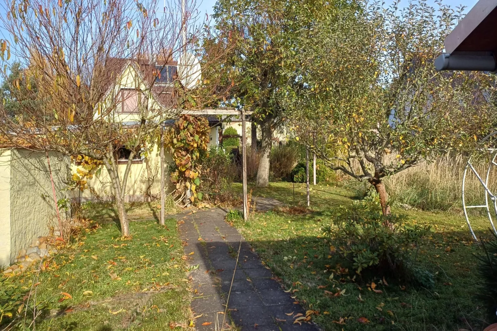 Schönes Ferienhaus in Ortrand in Süd-Brandenburg-Tuinen zomer