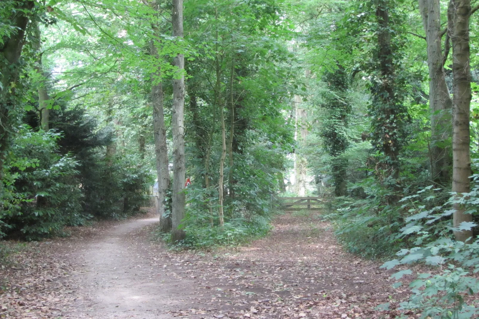 Huisje op de Hei-Gebieden zomer 1km