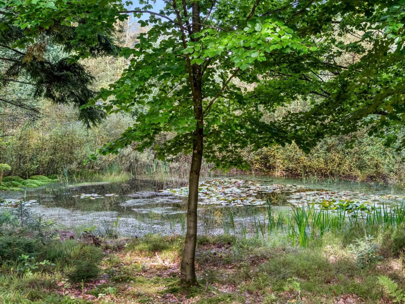 "Vicente" - 14km to the inlet-Buiten