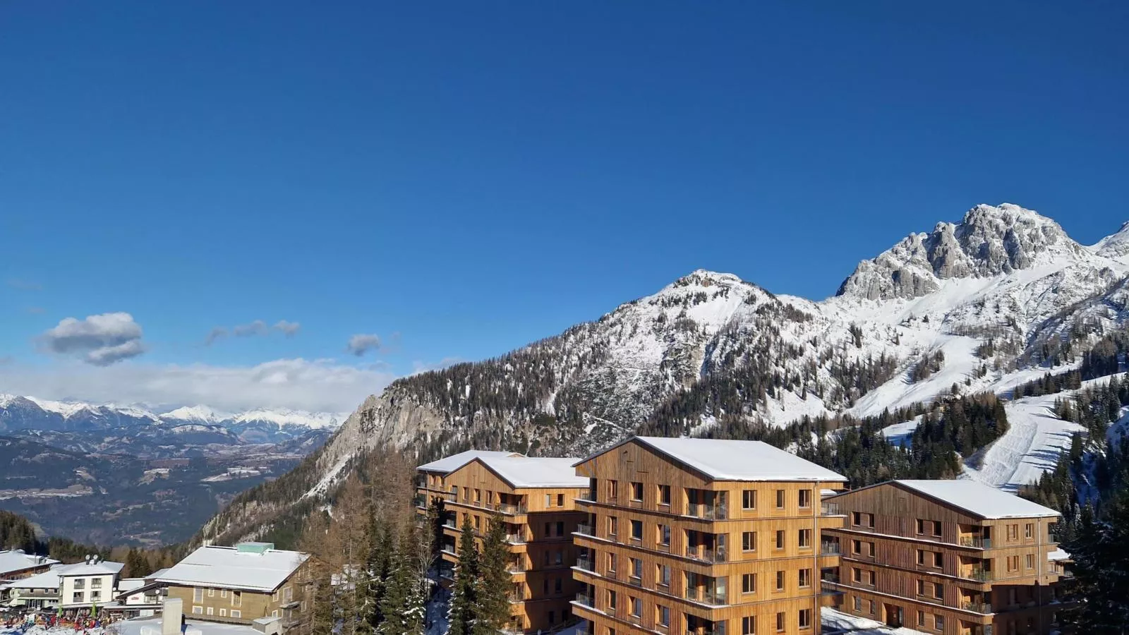 Sonnenalpe Nassfeld Bergblume