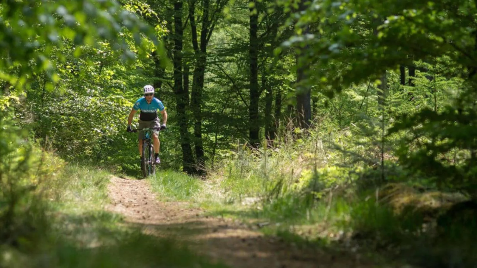 Oak Valley 17-Gebieden zomer 1km