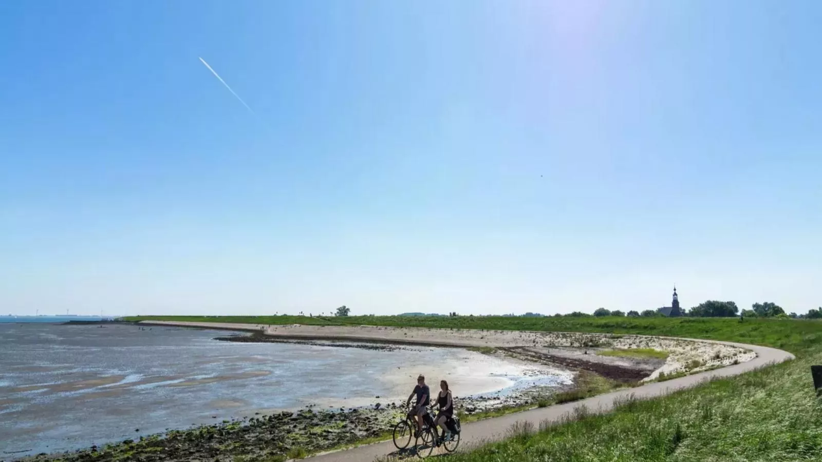 Vogeltrek-Gebieden zomer 1km