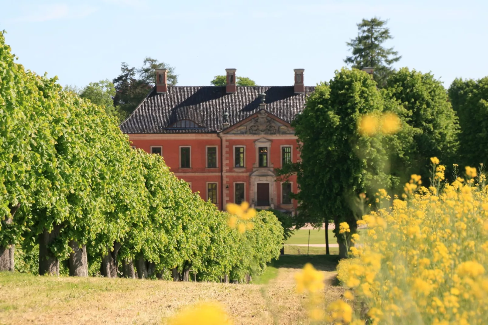 Stadthaus Klütz 2-Buitenkant zomer